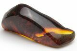 Polished Chiapas Amber ( g) - Mexico #237415-1